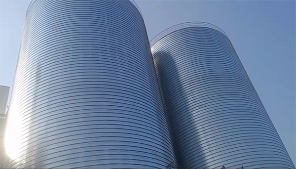 定陶2座混凝土高架卷板仓